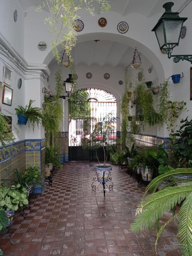 Carmona&house *