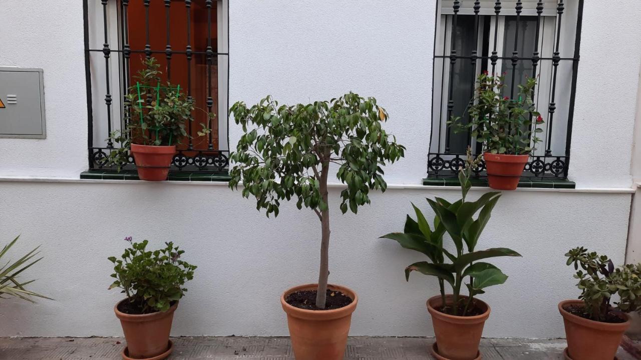 Carmona&house Appartement *